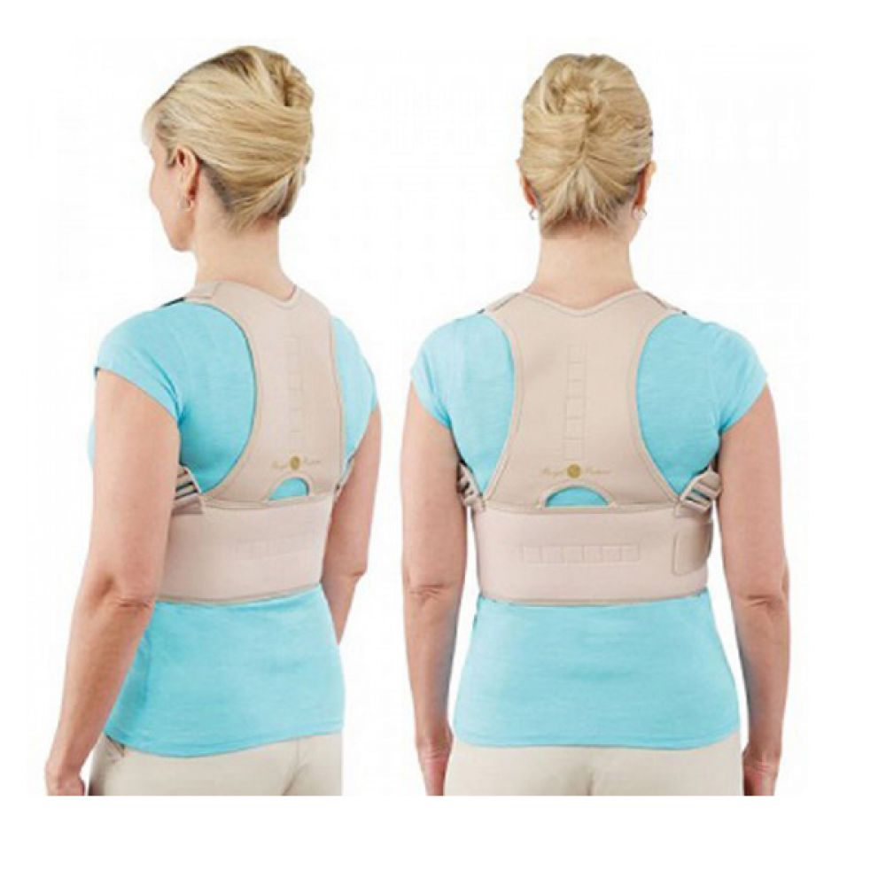 Royal Posture back support belt